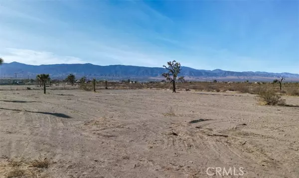 48788 Silver Valley Road, Newberry Springs, CA 92365