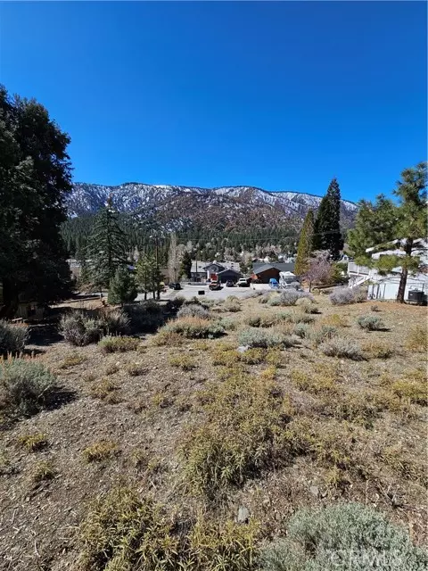 Wrightwood, CA 92397,0 Apple Vista Drive