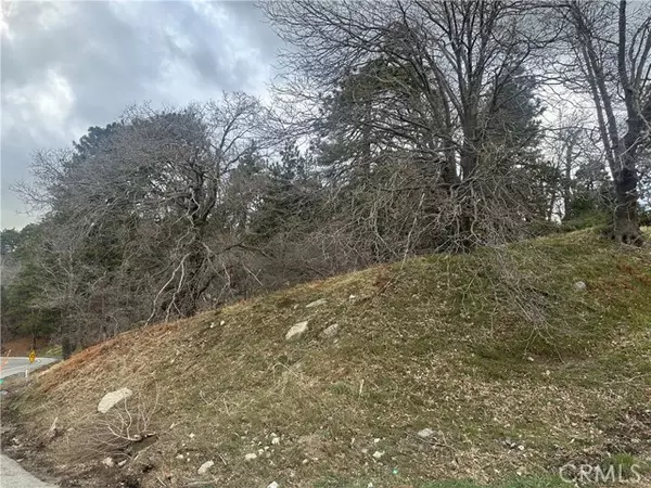 0 Torrey Road, Cedar Glen, CA 92321