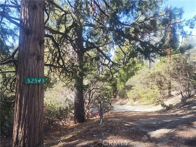 Idyllwild, CA 92549,52547 Pine Cove Road
