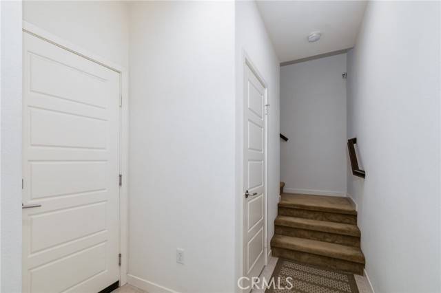 Lake Forest, CA 92630,16 Agave