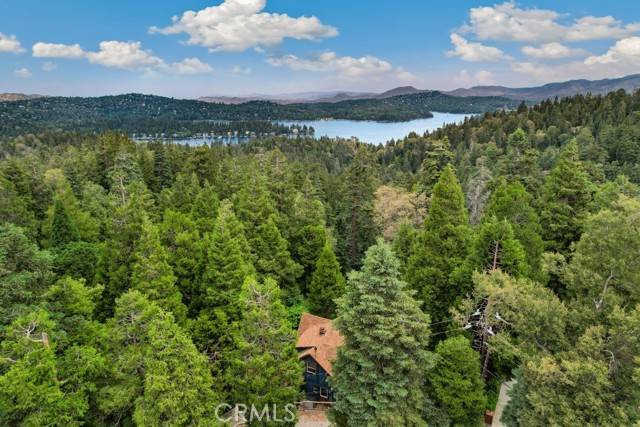 Lake Arrowhead, CA 92352,717 Crest Estates Drive