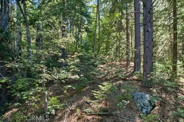 Blue Jay, CA 92317,0 Ca-189