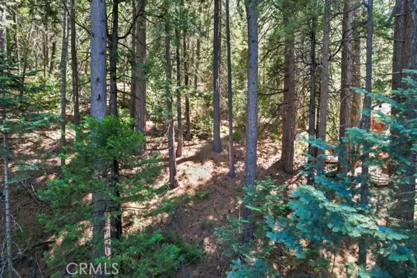 Blue Jay, CA 92317,0 Ca-189