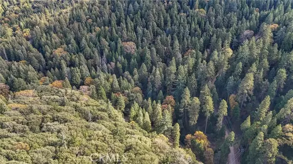 Cedarpines Park, CA 92322,0 Deer Run Road