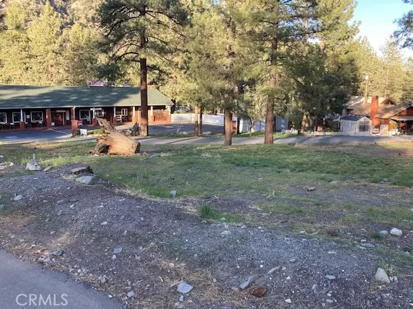 Wrightwood, CA 92397,0 Cedar