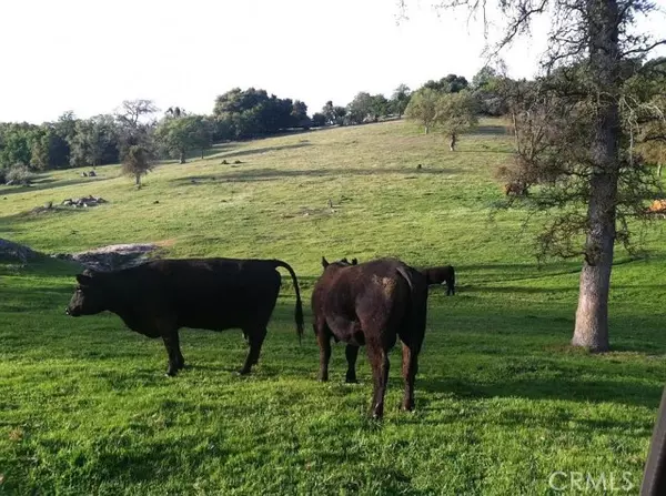 Squaw Valley, CA 93675,35294 Ruth Hill Road