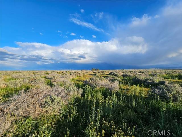 Rosamond, CA 93560,359 35931505005