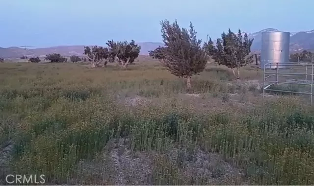 Juniper Hills, CA 93543,0 Vac/Longview Rd/Vic Murphys Road