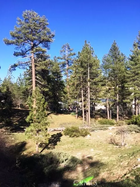 Big Bear, CA 92315,0 Talmadge