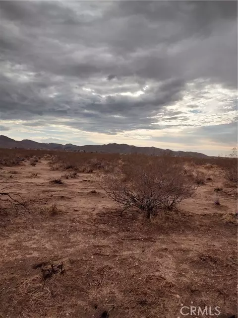 Landers, CA 92285,0 Sunny slope Road