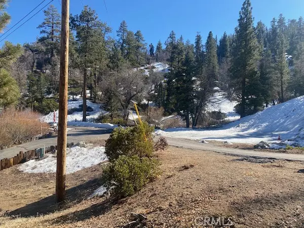 Big Bear, CA 92315,41632 Thrush Court