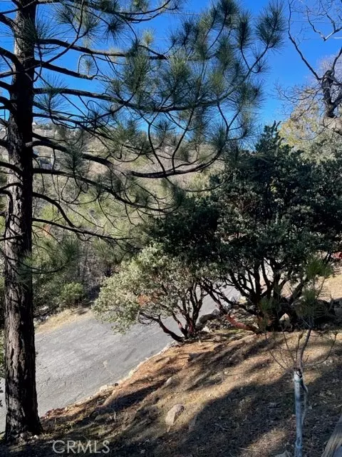 Lake Arrowhead, CA 92352,0 Sandalwood Drive