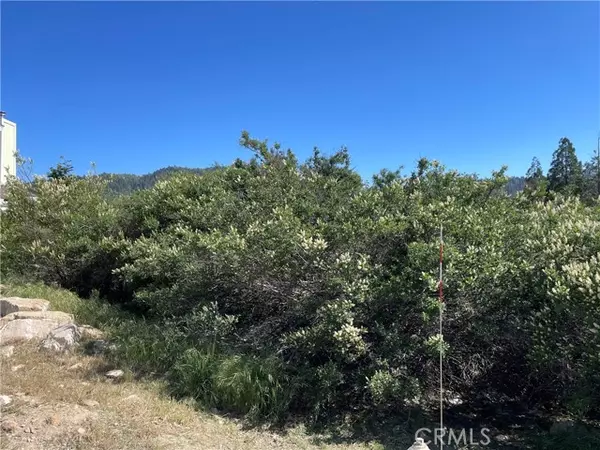 Cedar Glen, CA 92321,17 Lot 17 Lupin Way