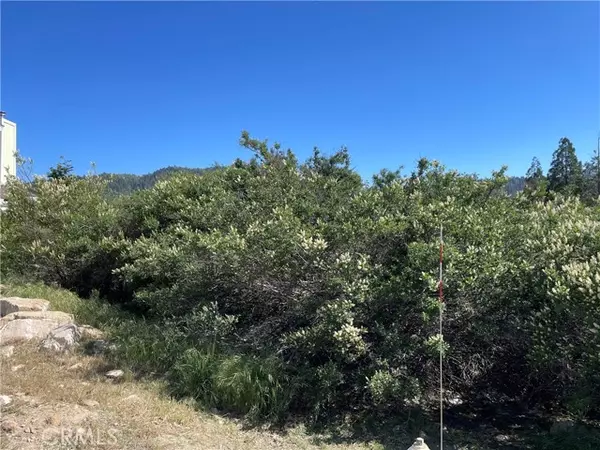 17 Lot 17 Lupin Way,  Cedar Glen,  CA 92321