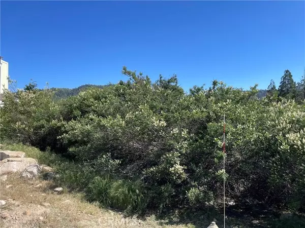 17 Lot 17 Lupin Way, Cedar Glen, CA 92321
