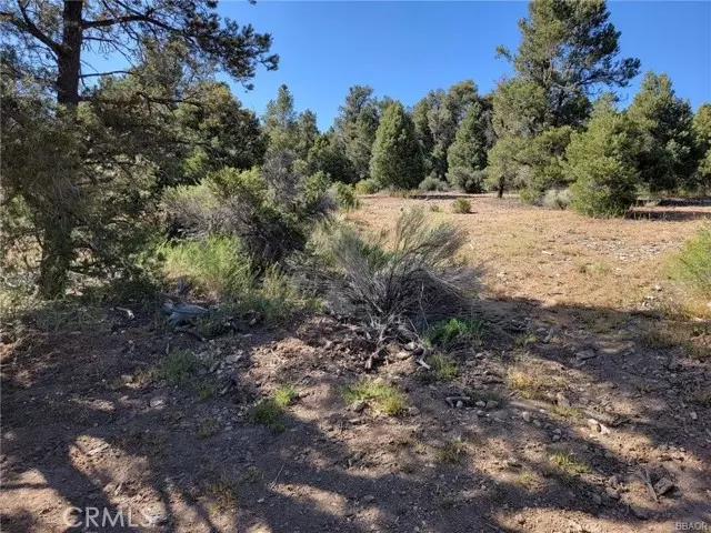 0 Falling Springs Road, Baldwin Lake, CA 92314