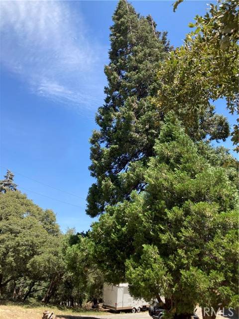 0 Bone Dr #74-75 Drive, Cedarpines Park, CA 92322