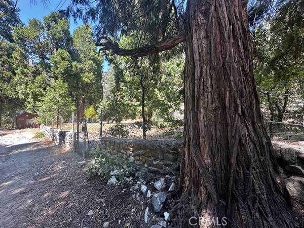 41424 Valley Falls Drive, Forest Falls, CA 92373