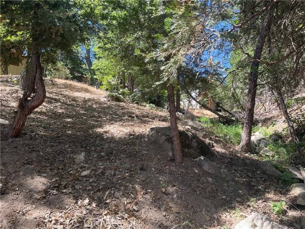 45 Lot 45 Scenic Way, Rimforest, CA 92378