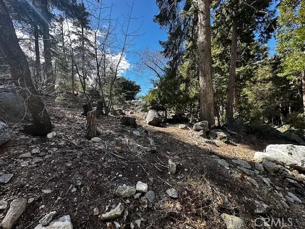 Forest Falls, CA 92339,0 Fir Drive