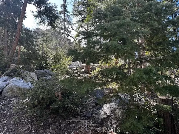 Forest Falls, CA 92339,0 Fir Drive