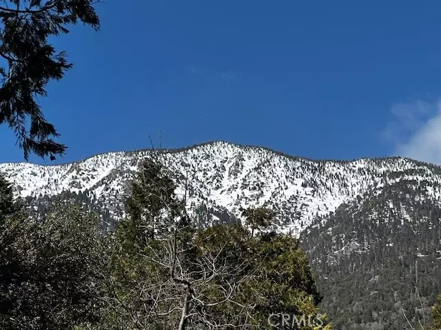 Forest Falls, CA 92339,0 Fir Drive