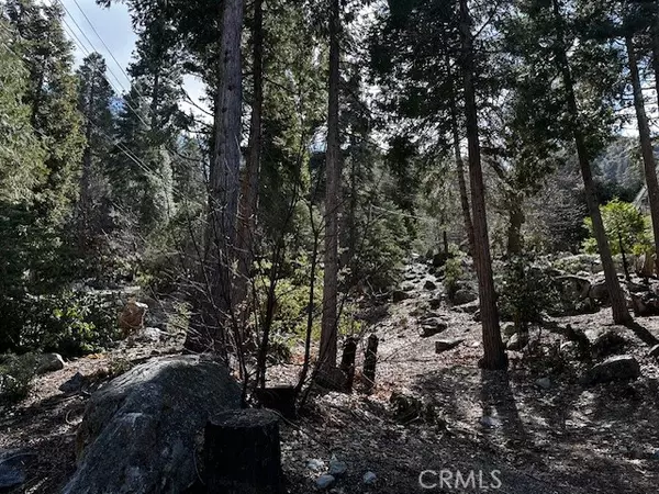 Forest Falls, CA 92339,0 Fir Drive