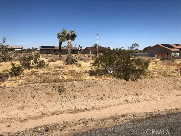 Yucca Valley, CA 92284,0 Pimlico Street