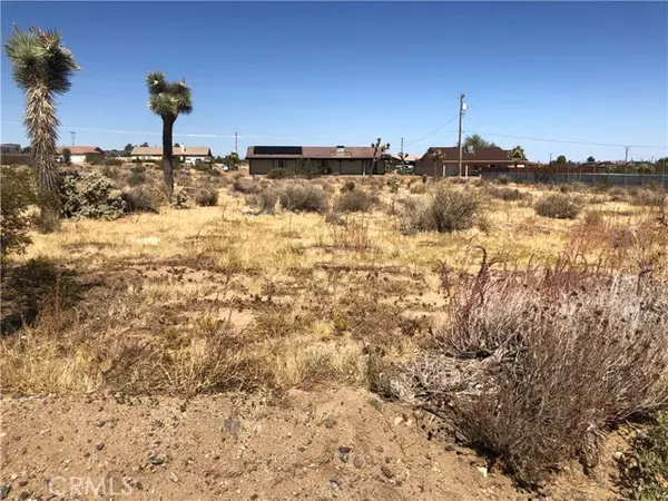 Yucca Valley, CA 92284,0 Pimlico Street