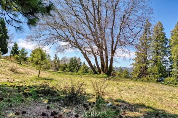 Lake Arrowhead, CA 92352,159 Mill Pond Road