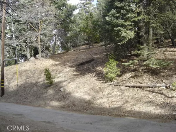 Twin Peaks, CA 92391,0 Pine Trail