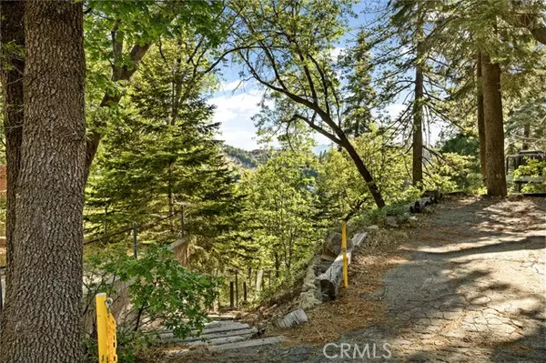 Lake Arrowhead, CA 92352,28991 Palisades Drive