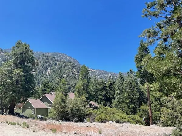 9311 Creek Court, Forest Falls, CA 92339