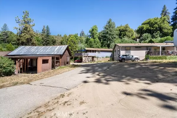 Angelus Oaks, CA 92305