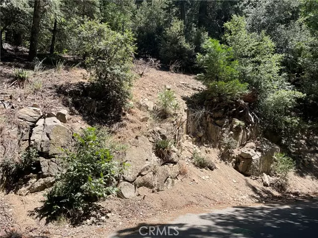 Crestline, CA 92325,150 Lot 150 Berne Drive