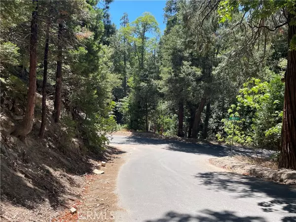 Crestline, CA 92325,150 Lot 150 Berne Drive