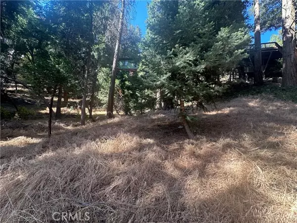 Crestline, CA 92325,0 Valle Drive