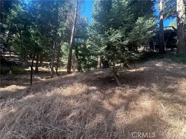 Crestline, CA 92325,0 Valle Drive