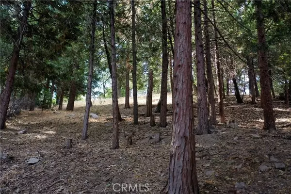 Crestline, CA 92325,127 Lot 127 Basel Drive