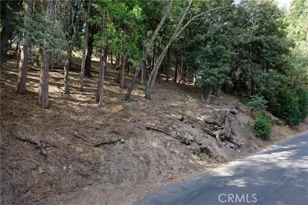 Crestline, CA 92325,127 Lot 127 Basel Drive