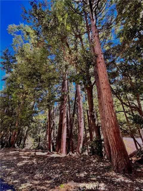 Lake Arrowhead, CA 92352,0 Rock Ridge Way