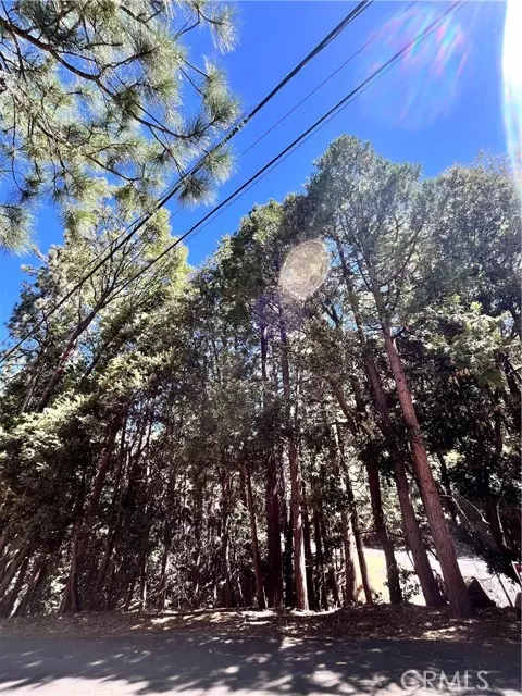 Lake Arrowhead, CA 92352,0 Rock Ridge Way