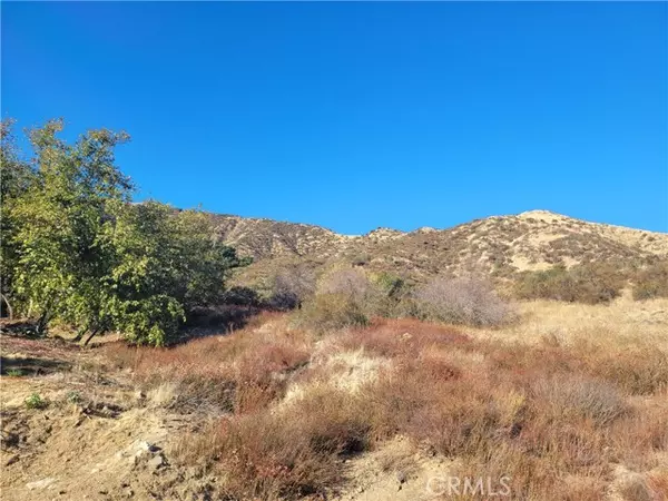 Cherry Valley, CA 92223,0 Lofty Lane