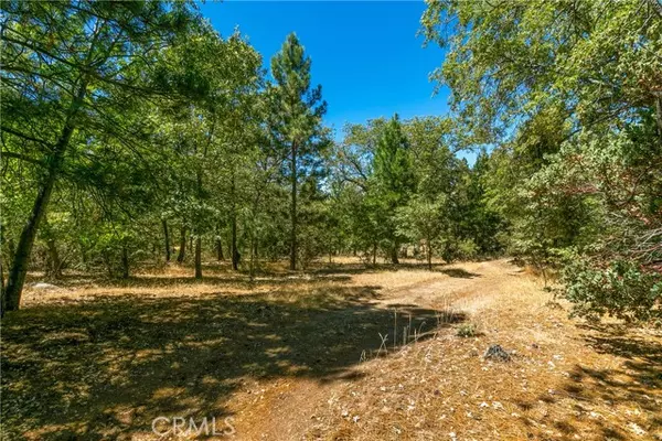 Lake Arrowhead, CA 92352,1462 Canterbury Court