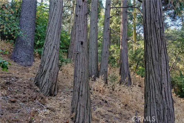 Crestline, CA 92325,33 Lot 33 Bernard Drive