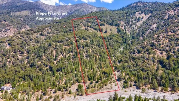 Forest Falls, CA 92339,41272 Mill Creek