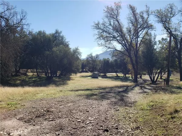 45574 Pine River Road, Ahwahnee, CA 93601