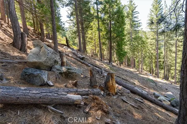 Yosemite, CA 95389,7477 Yosemite Park Way