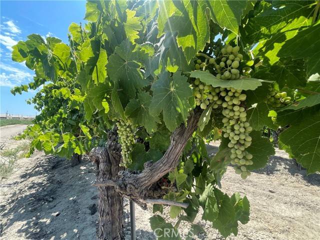 Kerman, CA 93630,1 South Plumas Avenue